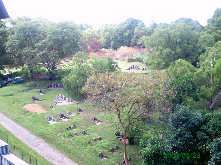 Photo of location of graves